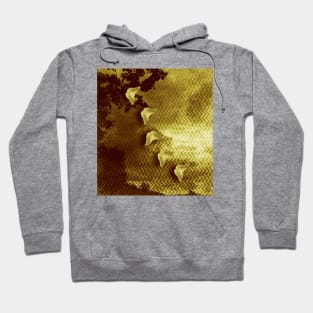 gold butterflies and abstract landscape Hoodie
